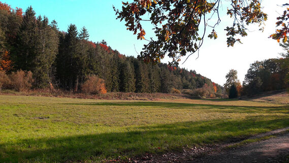 Beim Finsterroter See (siehe Variante)