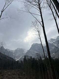 Fotografija s spletne strani Julia Wimmer 4 na poti