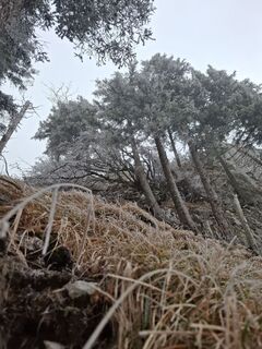 Foto von Günther Forsthuber entlang der Tour