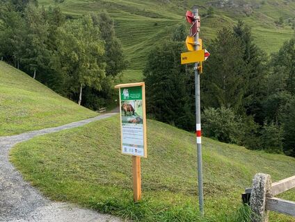 Lehrpfad RIndvieh