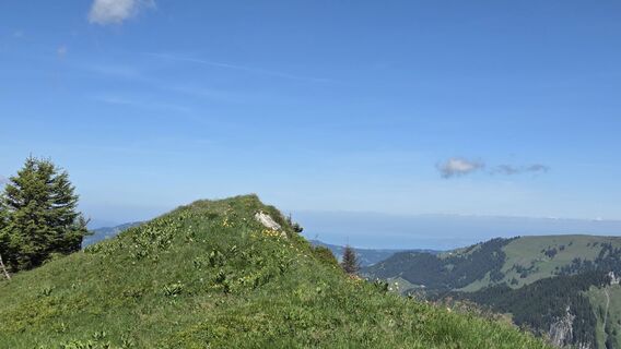 Foto de V Feurstein a lo largo del recorrido
