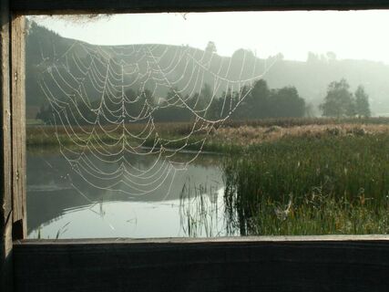Blick von Beobachtungsplattform am Sielmann-Weiher