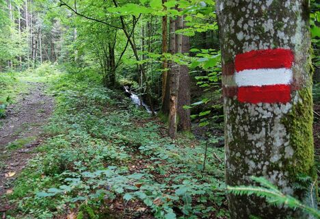Mühlgraben_Stenzengreith_Oststeiermark