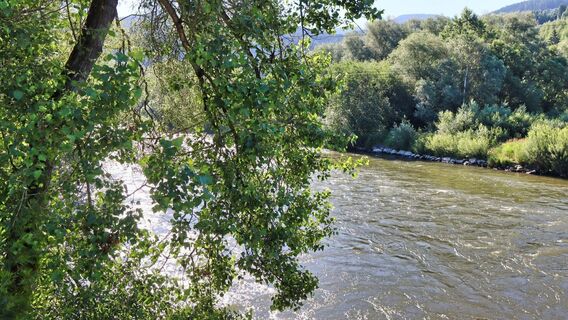 Wir wandern über die Brücke über die Mur