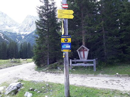 Hochfeldern Alm