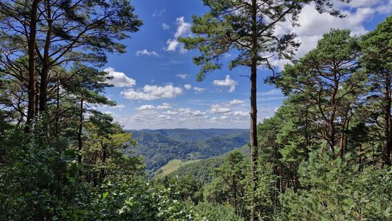 Foto von Sebastian entlang der Tour
