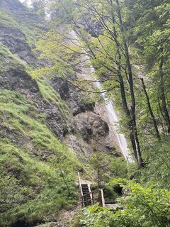Photo de frigur le long du parcours