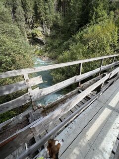 Fotografia z s Knollema na trase