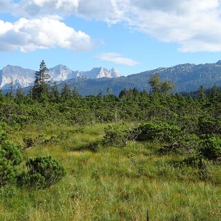 Die Steinplattenrunde vom Salzburger Saalachtal ausgehend