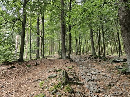 Photo de Preismarkus le long du parcours