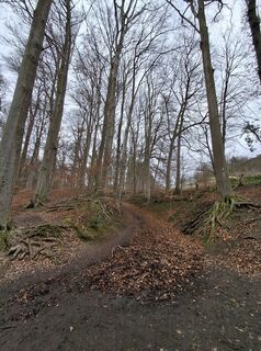 Fotografie de la uvo de-a lungul turului