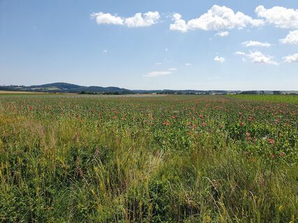 Fotografie z Jeannette Zainzinger na trase