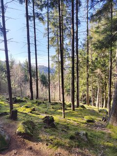 Foto von ReginaSt entlang der Tour