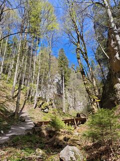 Photo de Bergpirat le long du parcours