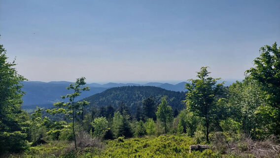 Aussicht am Metzgerstein