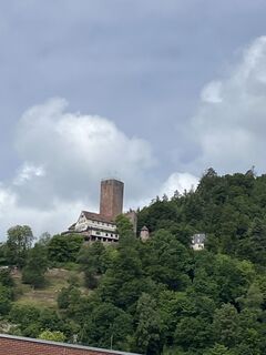 Foto da Sabine Ettischer lungo il tour