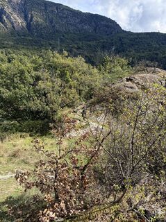 Fotografia z Manuela Sigrist na trase