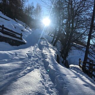 Der tiefverschneite Waldegga Trail