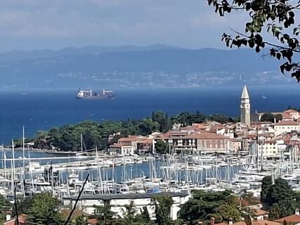 Fotografia z JoesBurg na trase