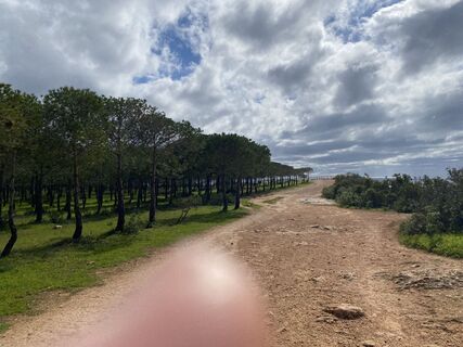 Foto von amu entlang der Tour