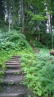 Treppen hinauf