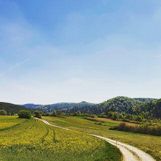 Feldflur am Jurasteig