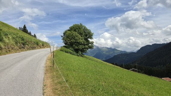 Foto von Gerrit van der Linde entlang der Tour
