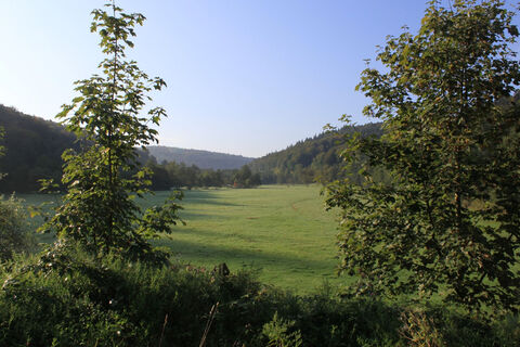 Albtal bei Fischweier