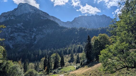 Fotografie z Pfefferam na trase