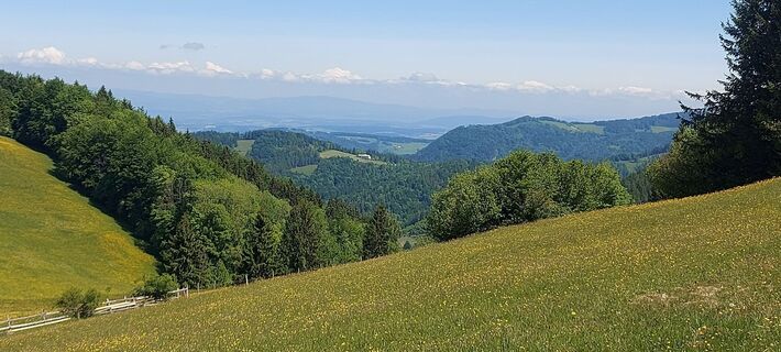 Foto von Klaus Gruber 3 entlang der Tour