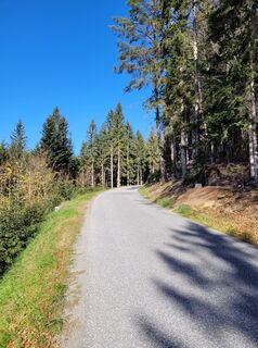 Fotografija s spletne strani Franz Bauer 9 na poti