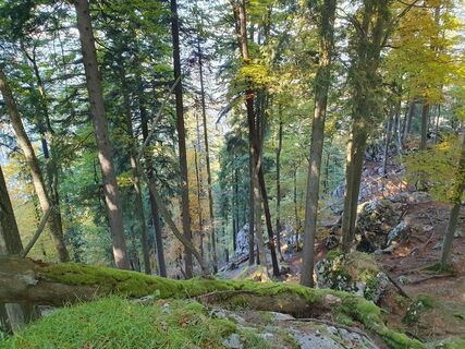 Fotografija s spletne strani Gabriele R na poti