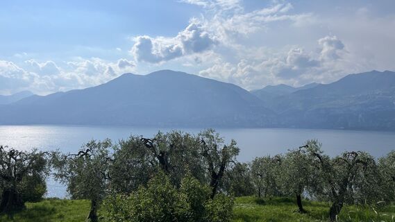 Foto von Ma Wa entlang der Tour