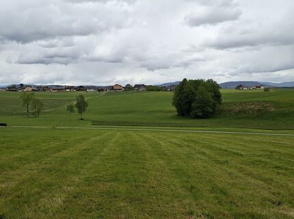 Photo de Karlborro1 le long du parcours