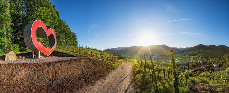 Aus Liebe zum Waldulmer Wein