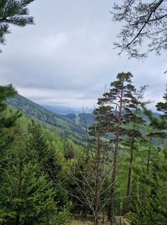 Fotografie de la Anne-Fleur Guitton de-a lungul turului