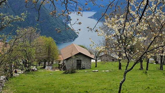 Fotografie z Piero Pozzi na trase