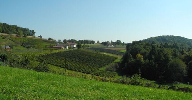 Herrliche Natur begleitet uns am Weg