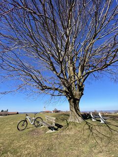 Fotografie z Sven Krieblin na trase