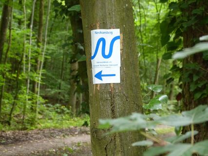 Wandersymbol des Neckarsteigs