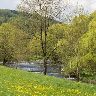 Frühling im oberen Lahntal