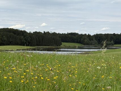 Foto de Barbara Schober a lo largo del recorrido