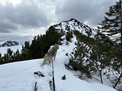 Fotografia z Hieronimus Nickl na trase