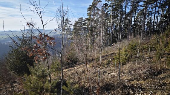 Photo de prager64 le long du parcours