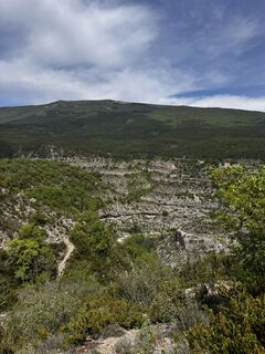 Fotografija s spletne strani noddy suter na poti