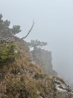 Fotografia z Kristijan Držaj na trase