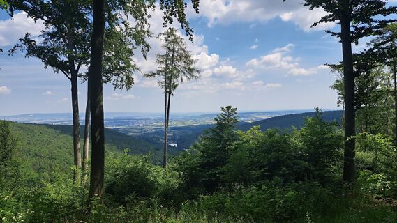 Foto von Együtt Barangolunk entlang der Tour