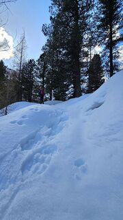 Photo de Grieshofer Gerlinde le long du parcours