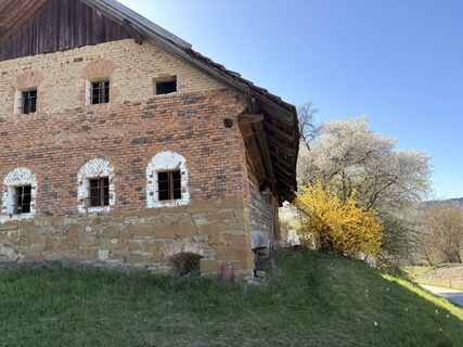 Zdjęcie z Nina Astleitner wzdłuż trasy