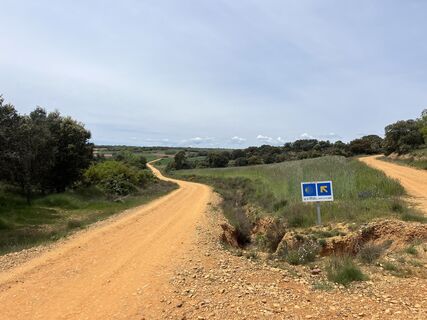 Photo de Andor Kulik le long du parcours